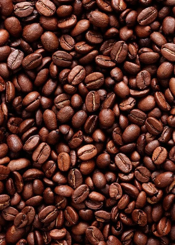 بُن سلفادور (مختص)